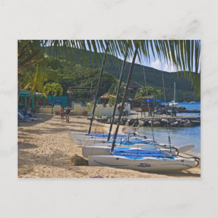 Beach side at Leverick Bay Resort & Marina, Postcard