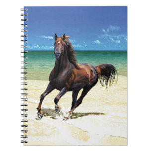 Beach Stallion Notebook