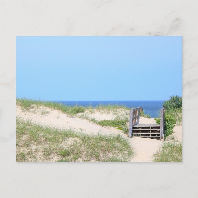 Beach Steps Postcard (Front)