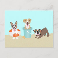Beach Summer Dogs Blue Orange