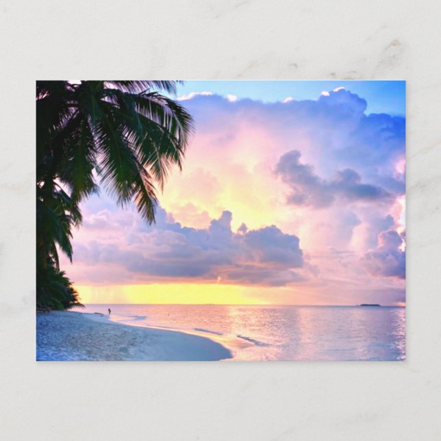 Beach Sunset ocean sand palm tree Maldives Miami Postcard (Front)