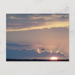 Beach Sunset Postcard