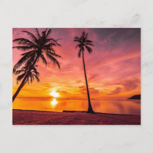 Beach Sunset postcard