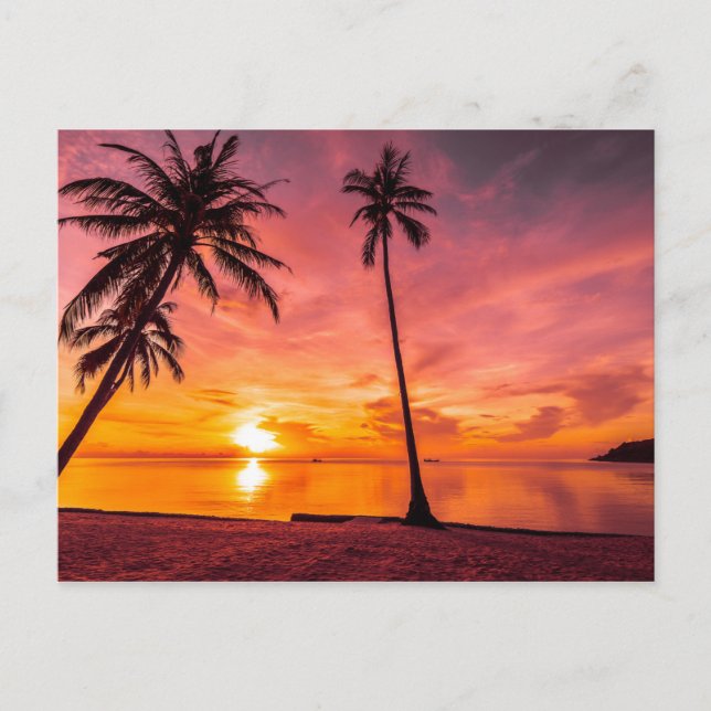 Beach Sunset postcard (Front)