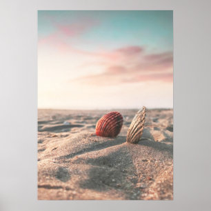 Beach Sunset Sea Shell Beach Photography Poster