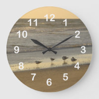Beach Terns Seagulls Birds Ocean Numbers