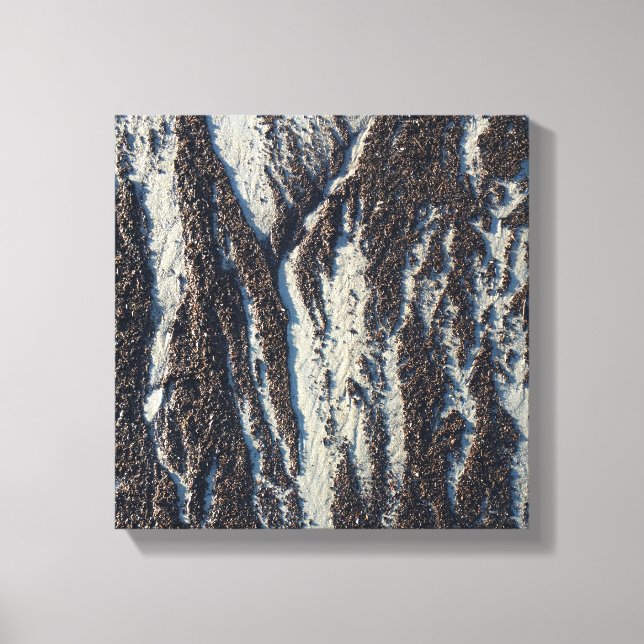 beach textures with seaweed canvas print (Front)