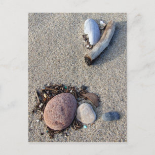 Beach Treasures Postcard