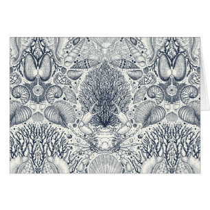 Beach treasures, seashells, crab, corals and seawe