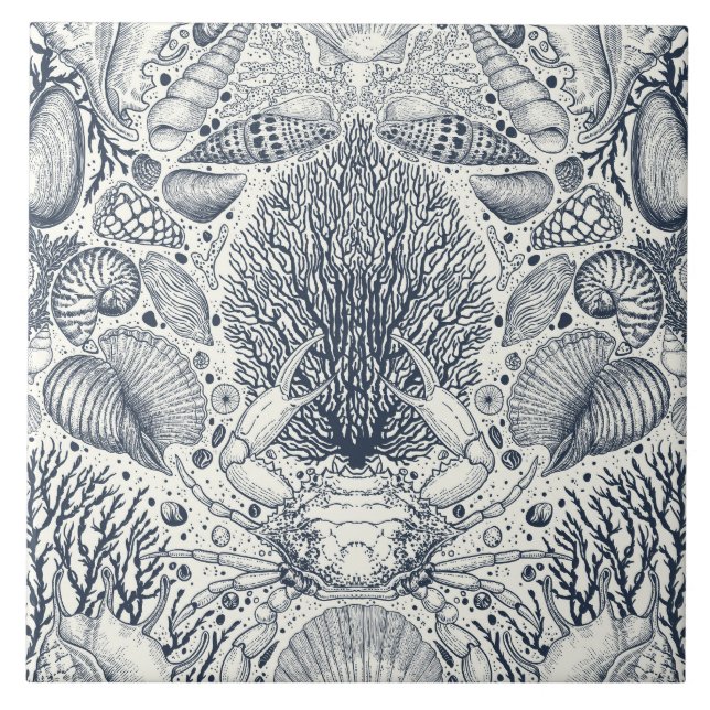 Beach treasures, seashells, crab, corals and seawe tile (Front)