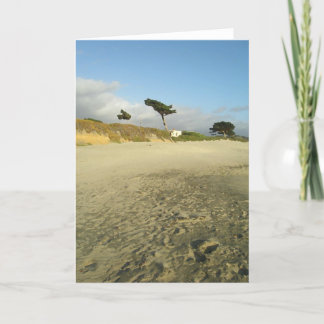Beach Tree Card