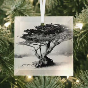 BEACH TREE Glass Ornament