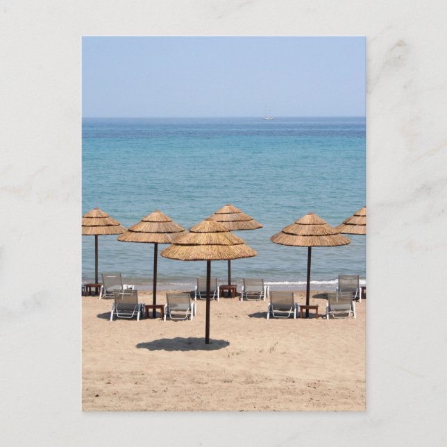 Beach Umbrellas Postcard (Front)