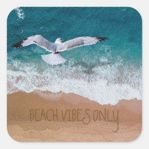 Beach Vibes Only Seashore Coastal Seagull Square Sticker
