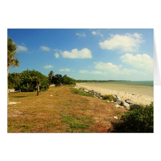 Beach View at Long Peak State Park, Florida (Front Horizontal)