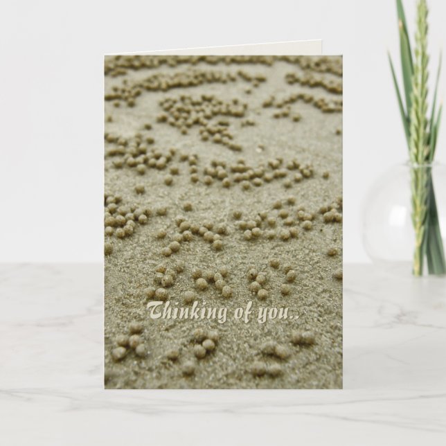 Beach Visions Memories Card (Front)