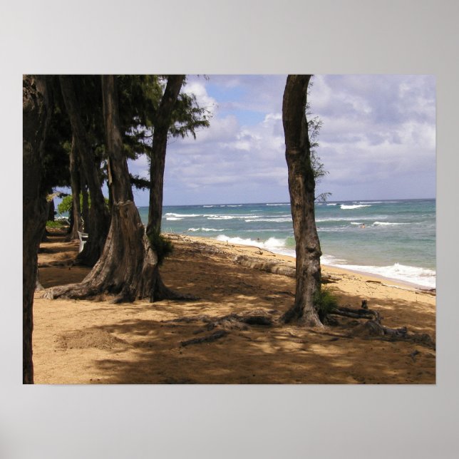 Beach, Wailua, Kauai Poster (Front)
