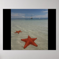 Beach water sea ocean star fish sand personalise