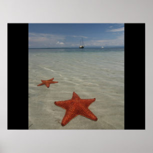 Beach water sea ocean star fish sand personalise poster