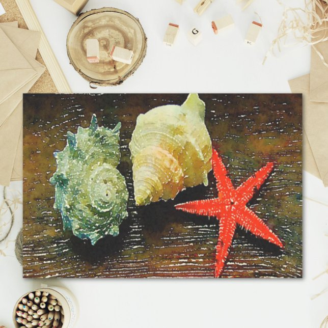 beach watercolor seashell starfish seashells  tissue paper (beach watercolor seashell starfish seashells tissue paper)
