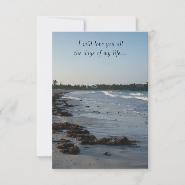 Beach Wedding at Sunset Invitation (Front)