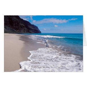 Beach Wedding Backdrop
