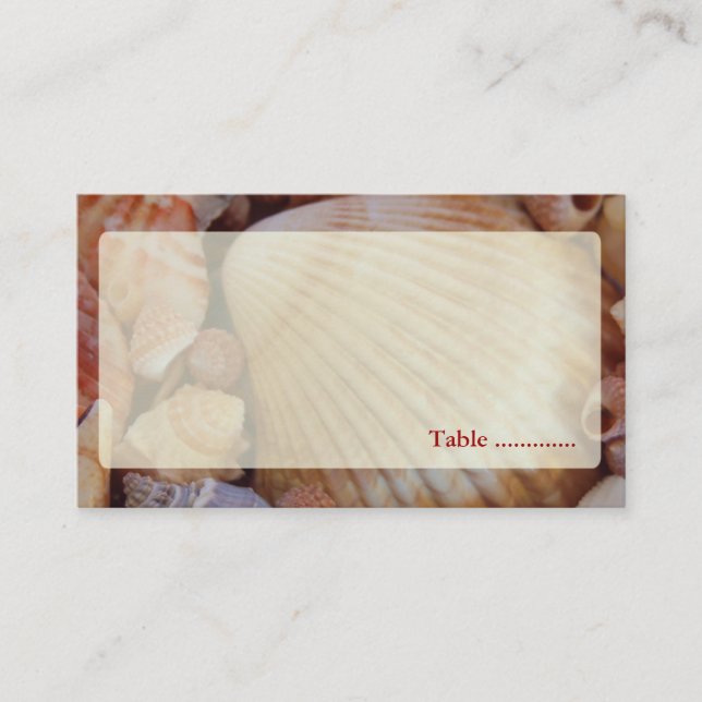 Beach Wedding Multicolored Seashell Place Cards (Front)
