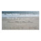 Beach Wedding Save the Date Announcement