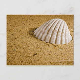 Beach Wedding Tropical RSVP Invitation Postcard