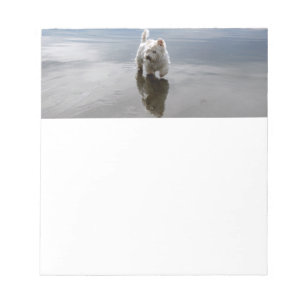 Beach Westie Reflection Photo Stationery Notepad