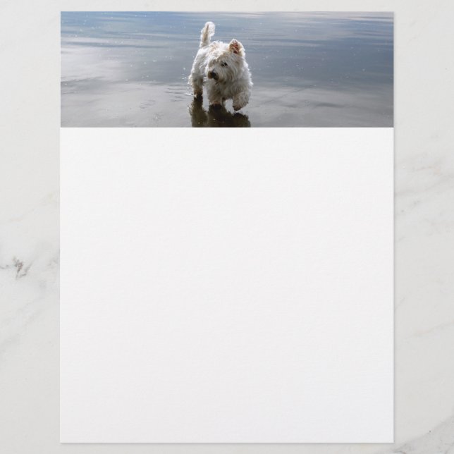 Beach Westie Reflection Stationery Paper Custom Letterhead (Front)