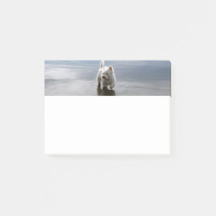 Beach Westie Reflection Stationery Post-it Notes