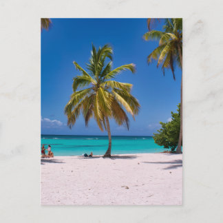 Beach, White Sand, Palm Trees Summer Vacation Postcard