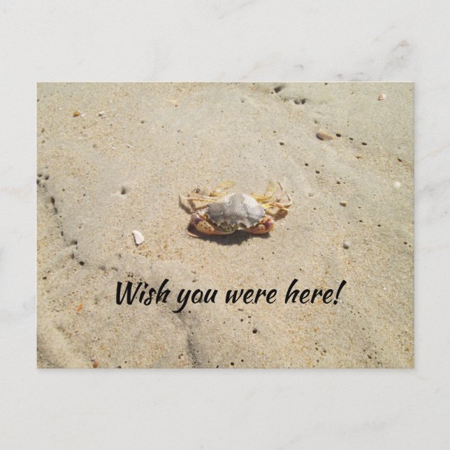 Beach with Crab Postcard (Front)