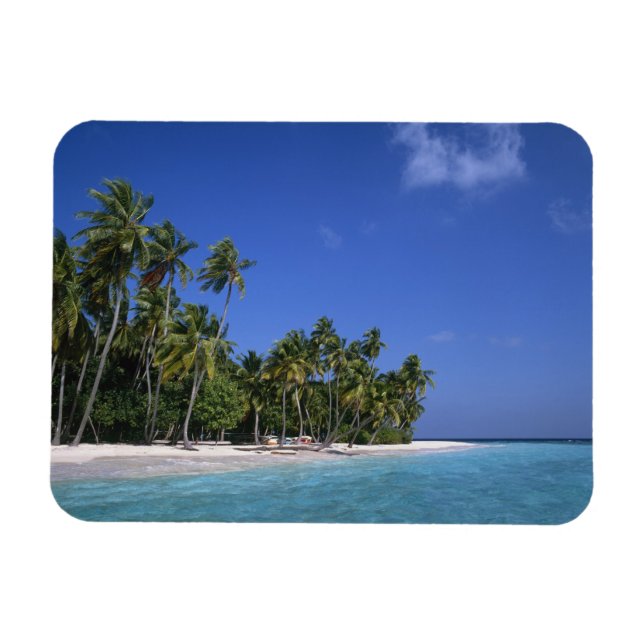 Beach with palm trees, Maldives Magnet (Horizontal)