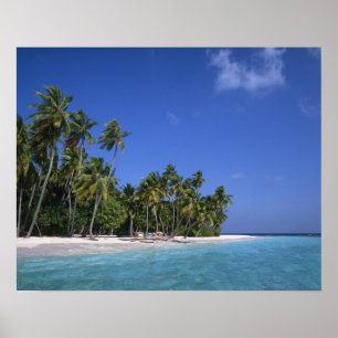 Beach with palm trees, Maldives Poster