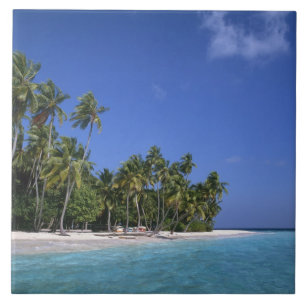 Beach with palm trees, Maldives Tile
