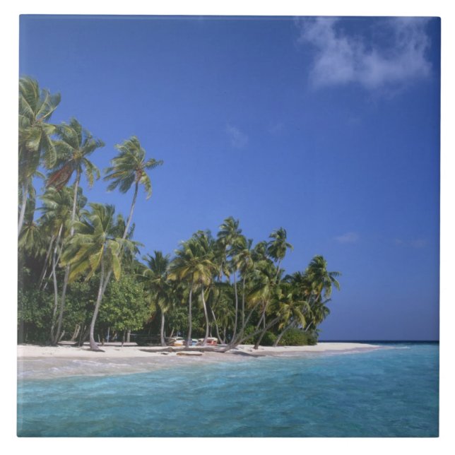 Beach with palm trees, Maldives Tile (Front)