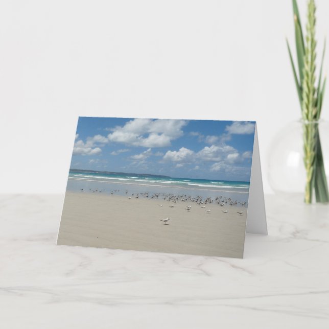 Beach with Seagulls Card (Front)