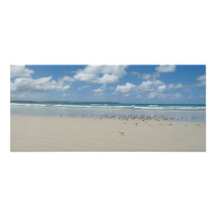 Beach with Seagulls Photo Print