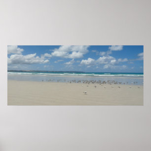 Beach with Seagulls Poster