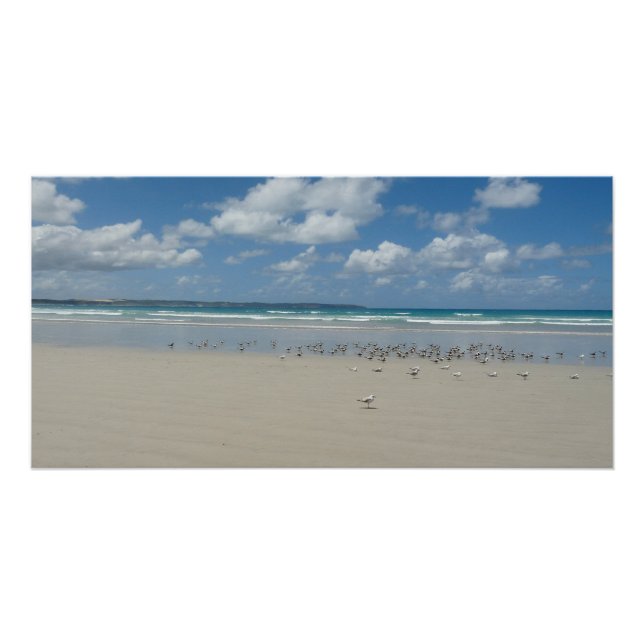 Beach with Seagulls Poster (Front)