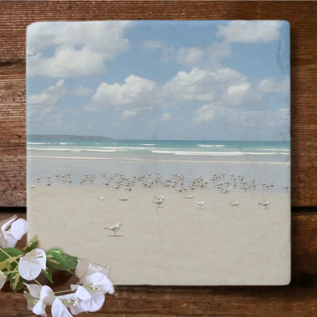 Beach with Seagulls Stone Coaster (Creator Uploaded)