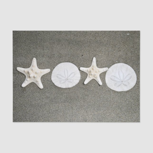 Beach X's and O's Tissue Paper (Front)