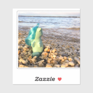 Beachcomber Baby Sea Pony at the Beach