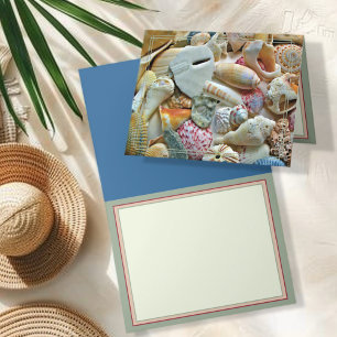 Beachcomber Seashell Collection Blank Note Cards