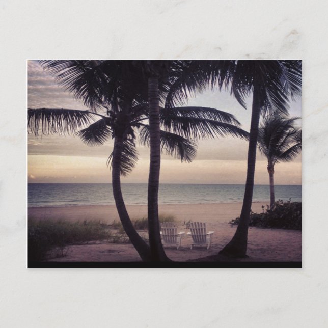 Beachcomber's Paradise Postcard (Front)