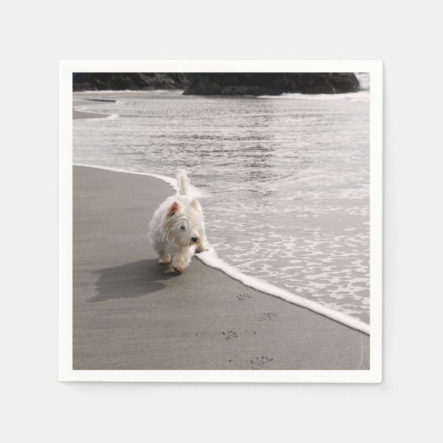 Beachcombing Westie Dog Photo Napkins (Front)