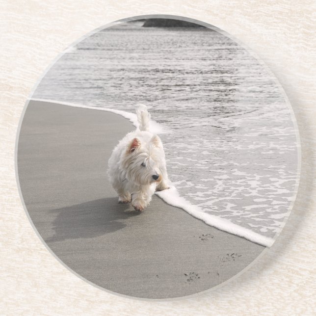 Beachcombing Westie Dog Photo Sandstone Coaster (Front)