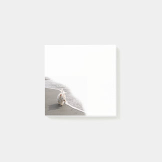 Beachcombing Westie Photo 3x3 Notes
